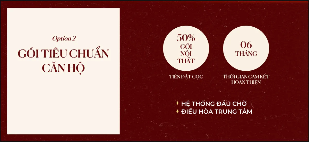 Gói bàn giao full nội thất căn hộ chung cư cao cấp Sun Trường Vinh